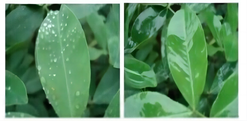 浅谈聚醚改性七甲基三硅氧烷（HC-YM9362）：结构特点、合成工艺及创新应用