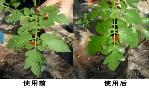 硅烷界多面手深入解析氯甲基二甲基氯硅烷（HC-CM2123）及其应用前景