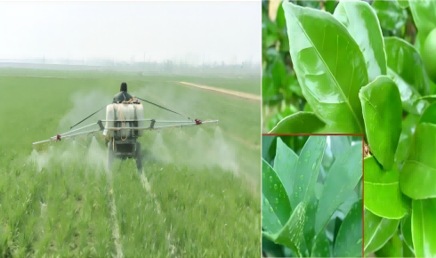 二甲基二氯硅烷（HC-CM2268）：精细化学品和多元化应用的基石